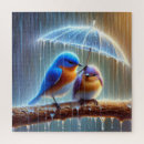 Buscar paraguas puzzles Lluvia