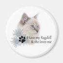 Buscar amo mi gatito imanes Lindo