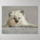 Buscar mullido posters Gatito