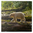 Buscar cresta azulejos Bosque