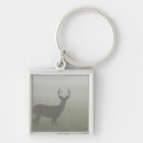 Buscar asta accesorios Naturaleza