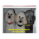 Buscar bonito calendarios Perro