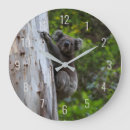 Buscar koala relojes de pared Adorable