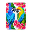 Buscar loros imanes Tropical