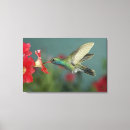 Buscar ala arte Fauna