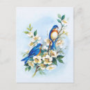 Buscar bluebirds postales Vintage
