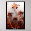 Buscar de la evolución posters Naturaleza