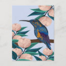 Buscar colibríes postales Floral