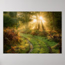 Buscar madera natural posters Bosque