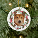 Buscar shiba inu adornos Ornamento