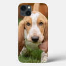 Buscar perritos ipad fundas Perros