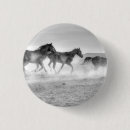Buscar mustang chapas Animales