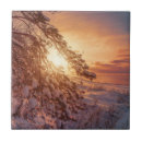 Buscar pino azulejos Nieve