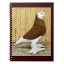 Buscar inglaterra cuadernos Paloma