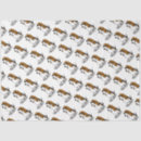 Buscar gafas sol de papel de seda Diversión