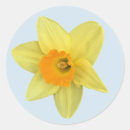 Buscar bombilla pegatinas Flor