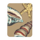 Buscar estrella amarilla imanes Océano