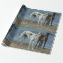 Buscar galgos papel de regalo Perros