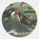 Buscar ballena pegatinas Biología marina