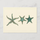 Buscar estrella de la vida postales Conchas marinas