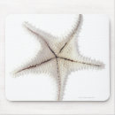 Buscar esqueleto alfombrillas de raton Animales