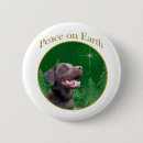 Buscar labrador retriever chapas Laboratorio
