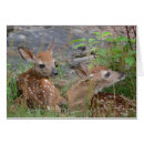 Buscar bambi postales Lindo