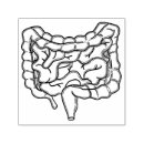 Buscar medicina manualidades Anatomía