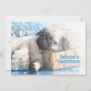 Buscar perrito del barro amasado tarjetas Bola de lanas