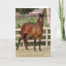 Buscar andalucia tarjetas Langrish bob