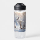 Buscar ártico agua botellas Blanco