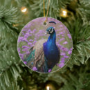 Buscar pavo real adornos Azul