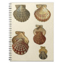 Buscar sepia cuadernos Vida marina