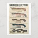 Buscar peligroso postales Serpiente