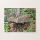 Buscar rastrillo fotografía Naturaleza