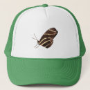 Buscar alas gorras Insectos