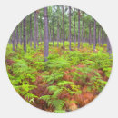 Buscar cabo verde pegatinas Día