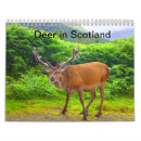 Buscar de escocia calendarios Naturaleza