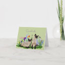 Buscar gatos siameses tarjetas Felino