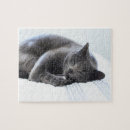 Buscar gato azul ruso puzzles Adorable