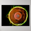 Buscar science posters Medical