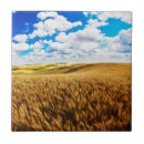 Buscar colinas azulejos Agricultura