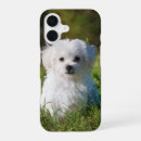 Buscar artisticas iphone fundas Lindo