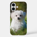 Buscar pintura del perro iphone fundas Cachorro