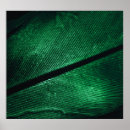 Buscar fondo verde oscuro posters Textura