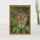 Buscar gato del jaguar tarjetas Salvaje