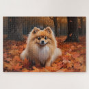 Buscar pomerania puzzles Perro