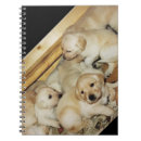 Buscar perritos cuadernos General y unisex