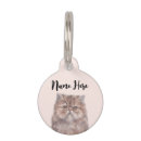 Buscar dulce mascotas Gatos