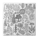 Buscar árbol blanco y negro azulejos Moderno